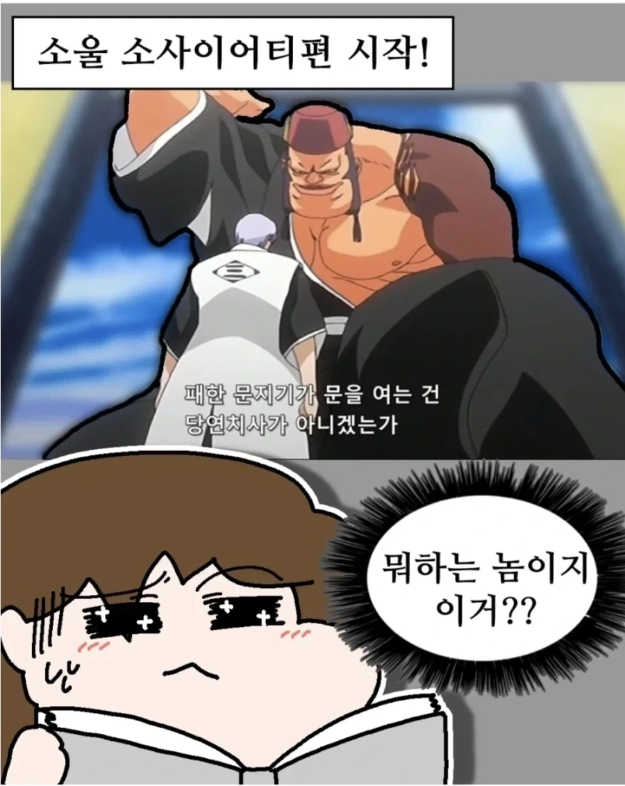 블리치를 본 대다수의 사람의 의문을 표한다는 내용.jpg