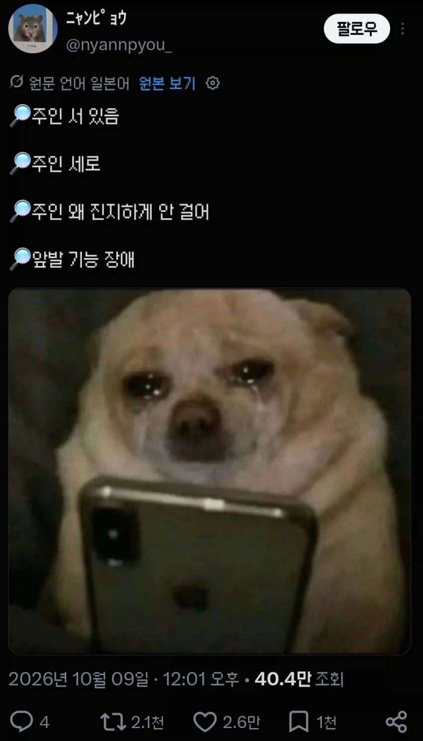 "쭈인님이 뒷발로만 걸어요..."