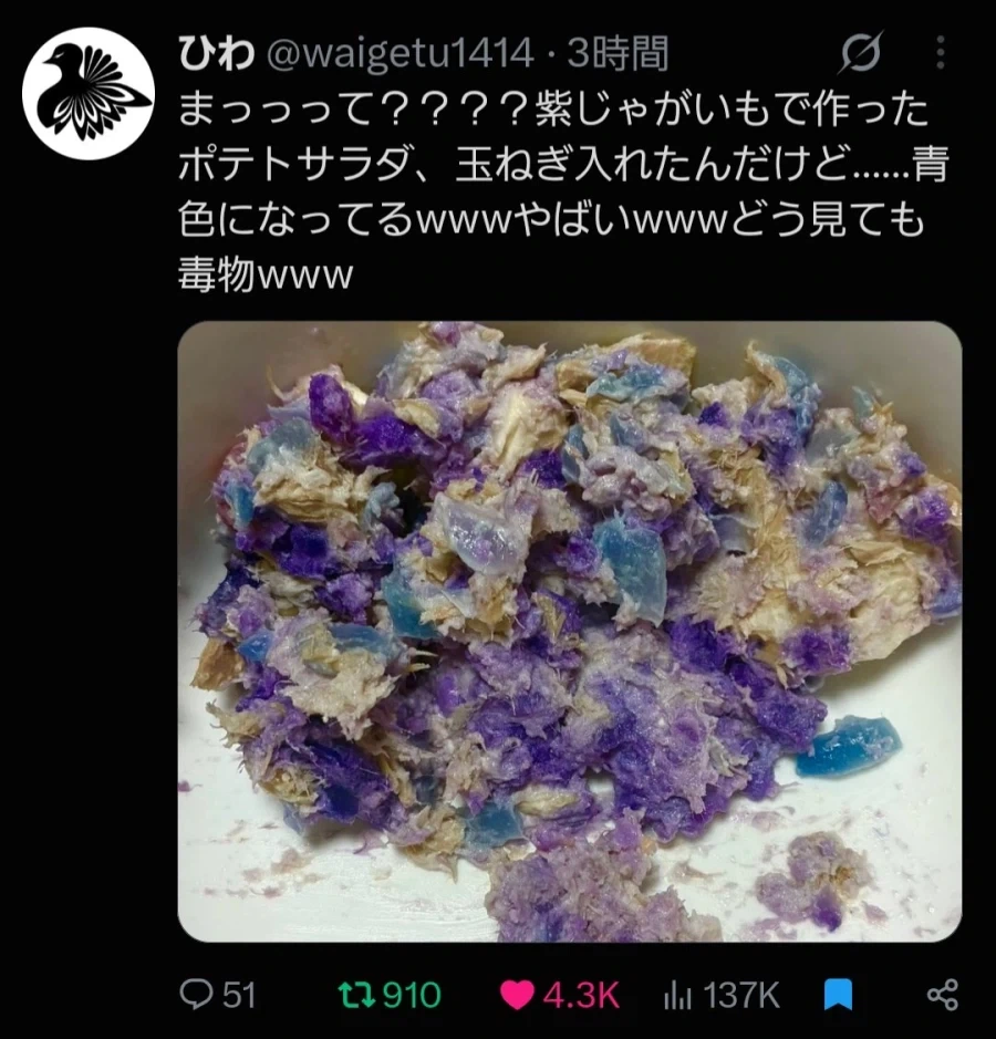 음식같은 광석 광석같은 음식 - 이미지 3
