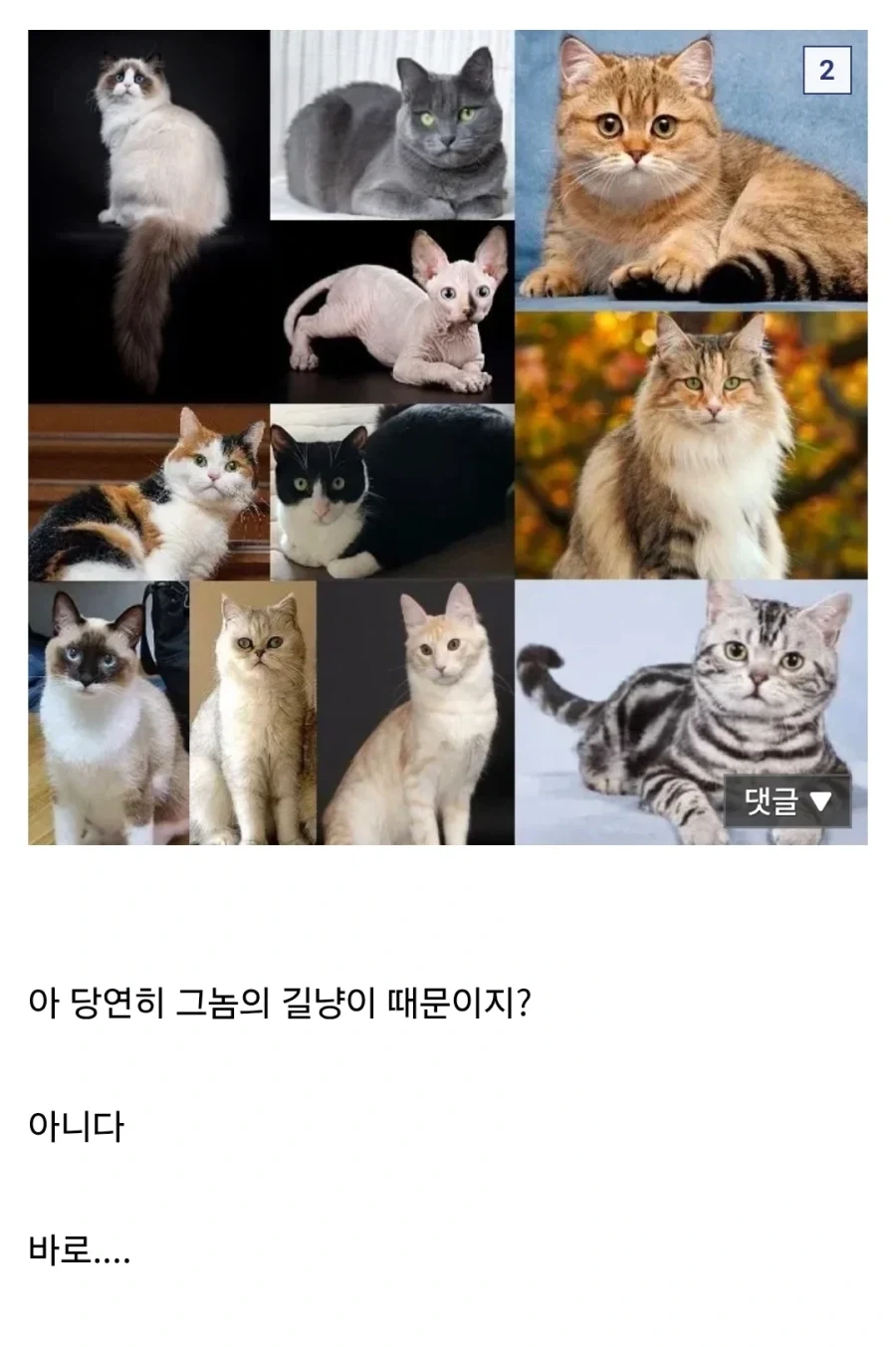 씹.창나고 있다는 울릉도 생태계.jpg - 이미지 2