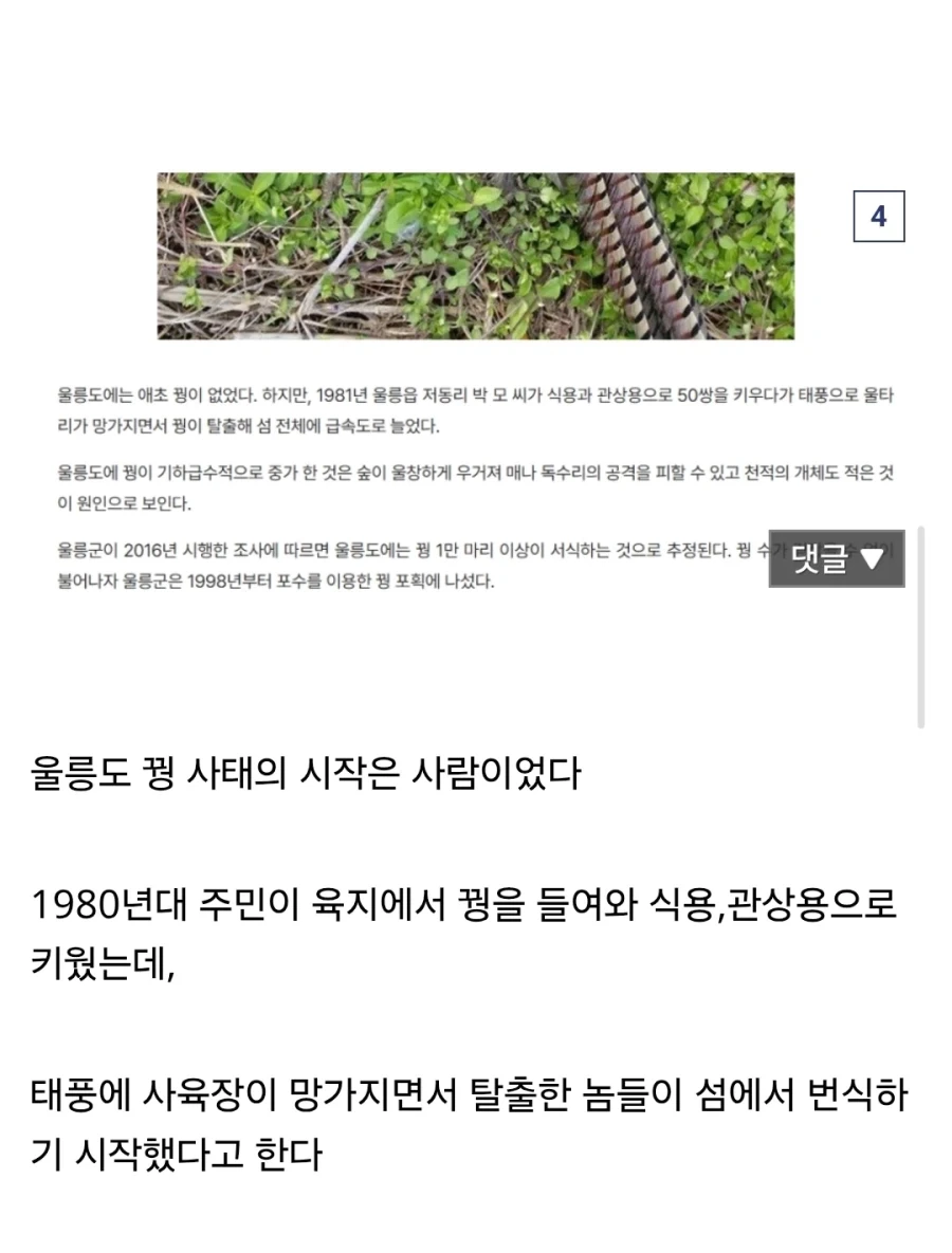 씹.창나고 있다는 울릉도 생태계.jpg - 이미지 4