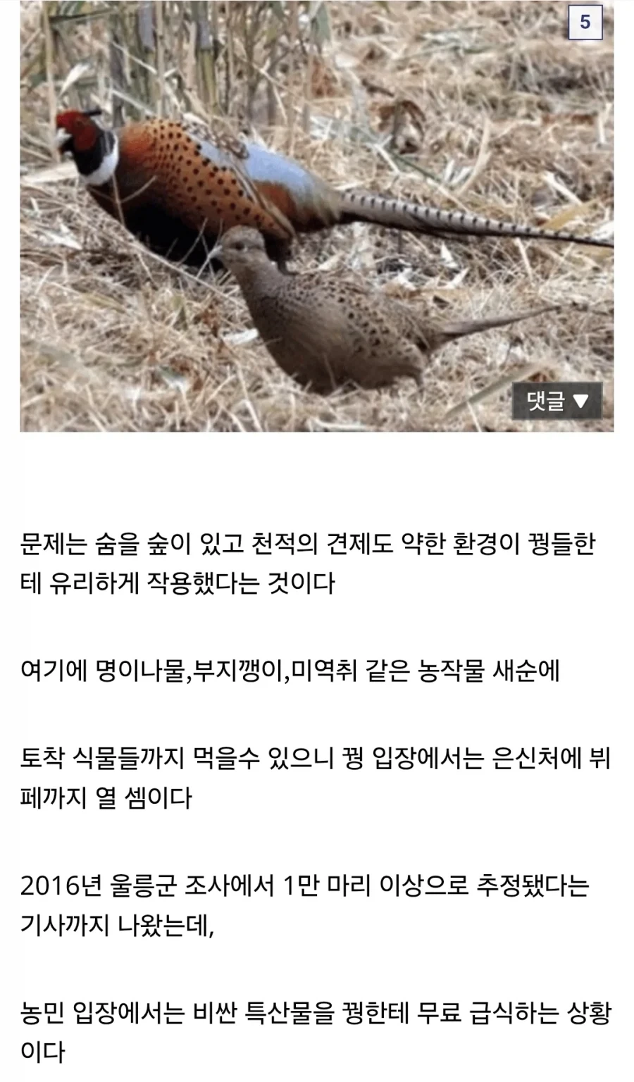씹.창나고 있다는 울릉도 생태계.jpg - 이미지 5