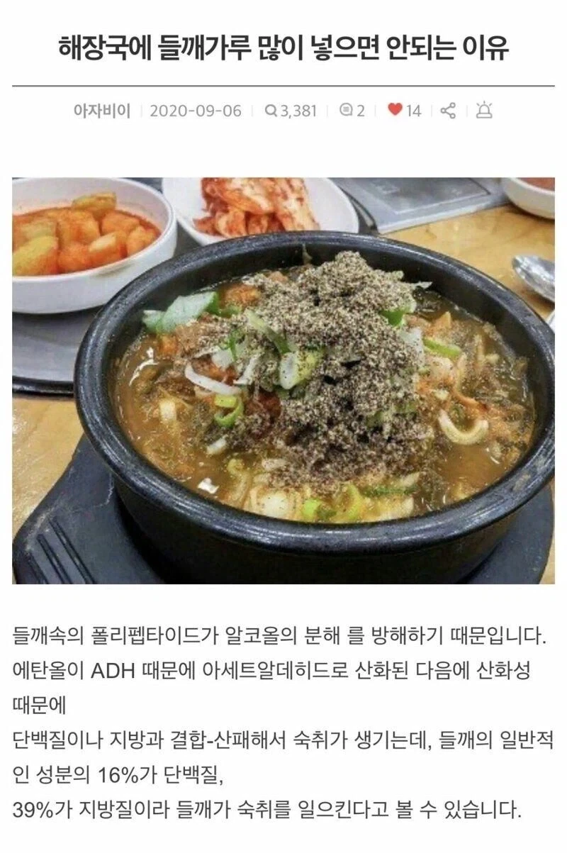 술 먹고 들깨먹으면 술이 들깨ㅋㅋㅋ 엌ㅋㅋ