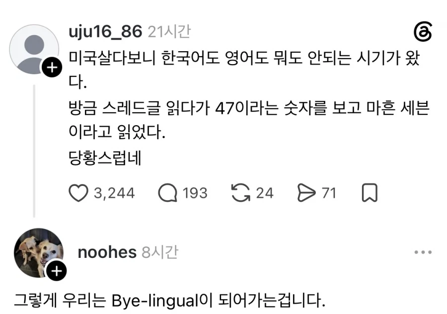 바이링구얼 특징.jpg