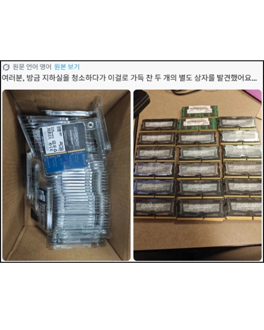 지하실에서 금광을 발견한 외국인
