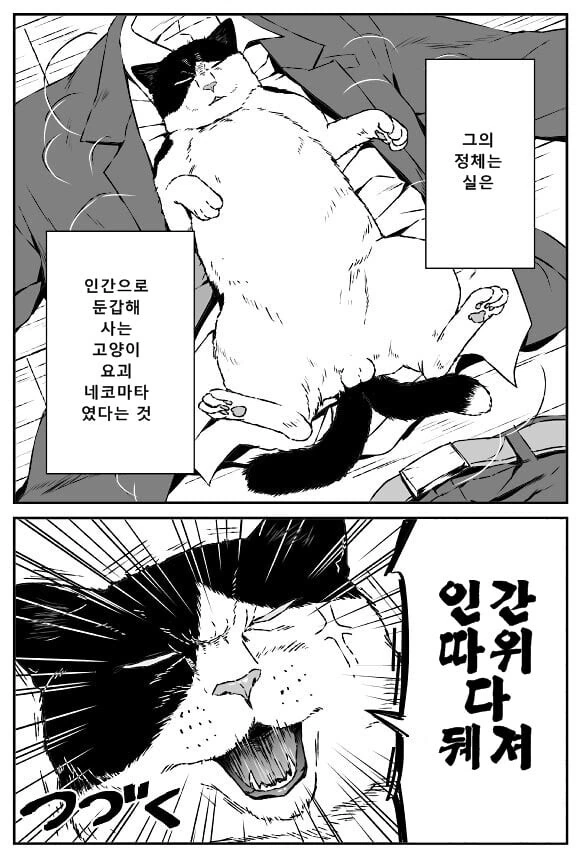 어디에나 있는 극히 평범한 중간 관리직의 비밀.manwha - 이미지 2
