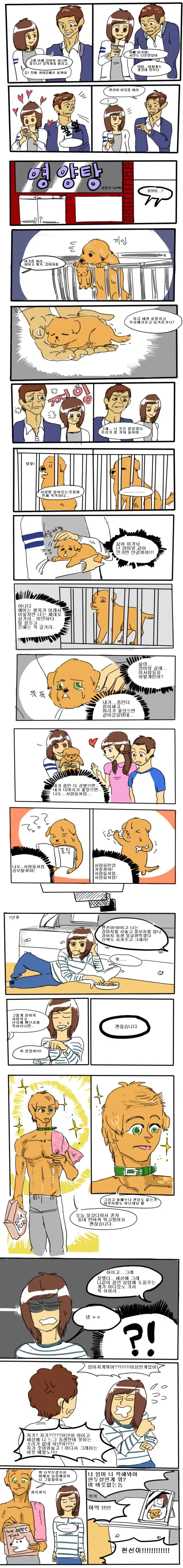 사람 보다 더 사람 같은 강아지 만화