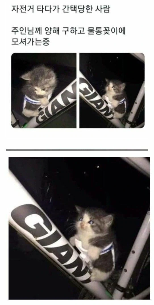 ???: "이 구멍은 나를 위해 만들어졌어!"