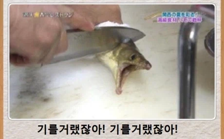 배신당한 물고기