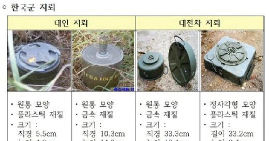 의외로 다들 착각하는 지뢰계 충격적인 실제모습 - 이미지 5