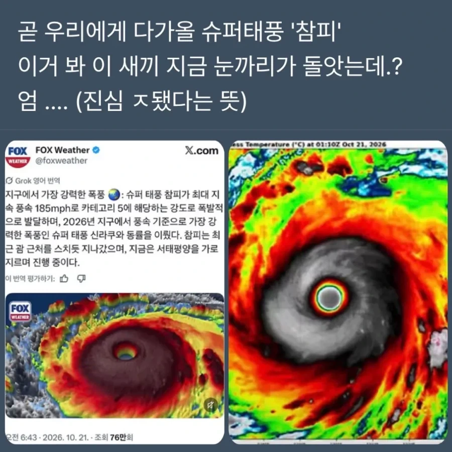 제대로 눈 돌아버린 참피