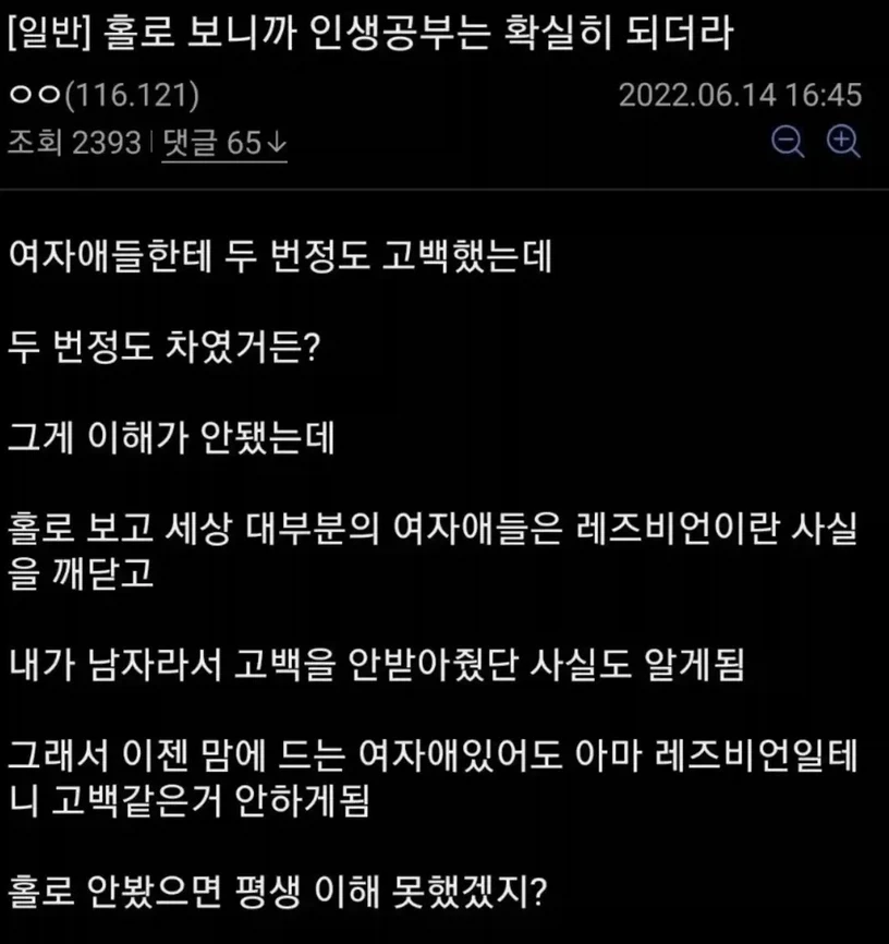 홀로라이브로 인생공부를 한 디시인