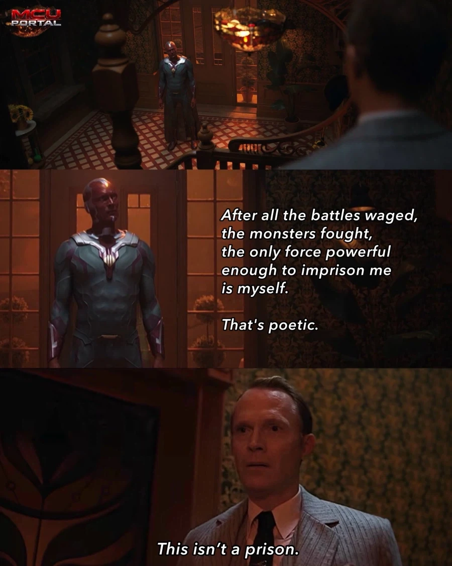 MCU) 흥미진진해지는 비전퀘스트