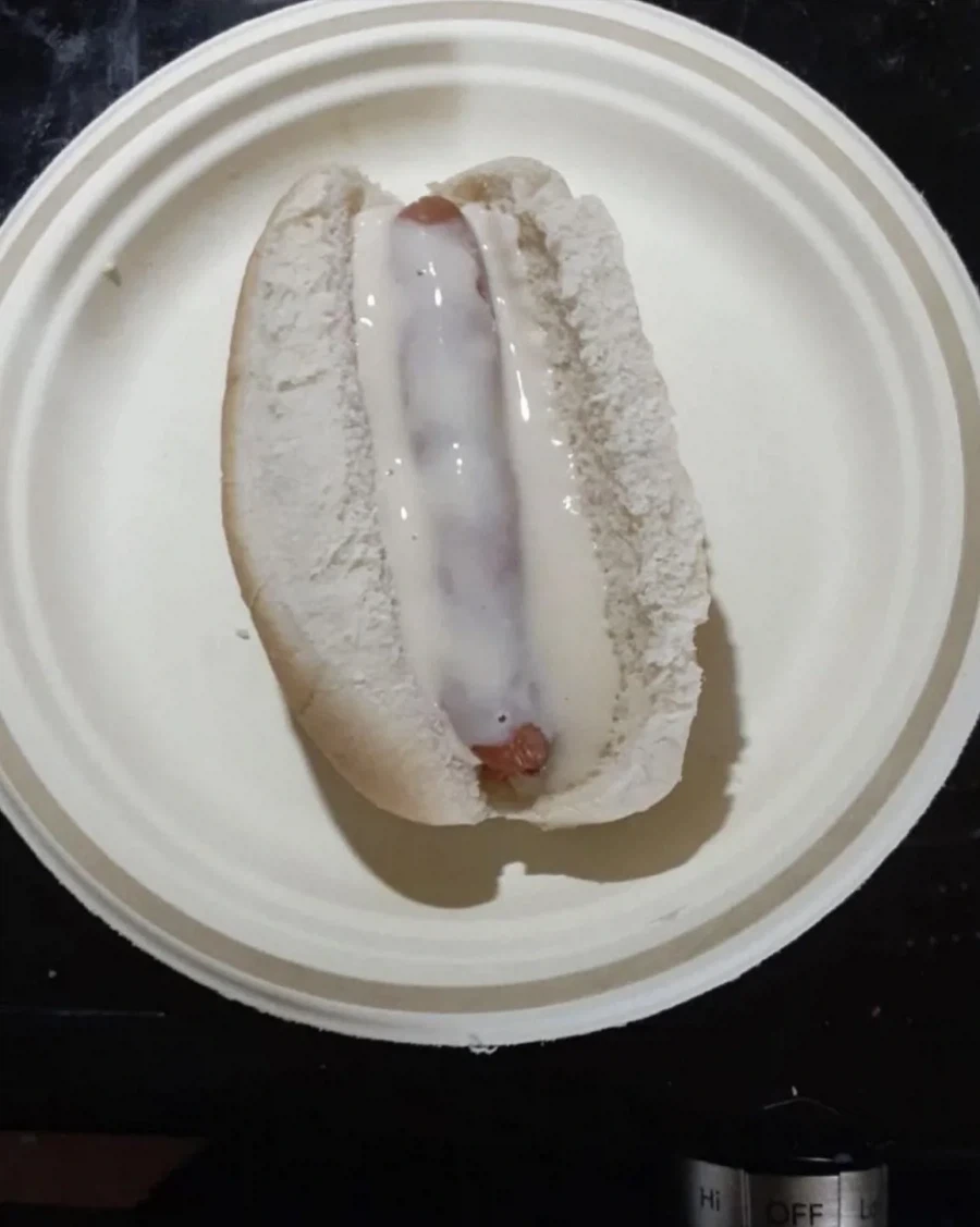 너무 싼 핫도그
