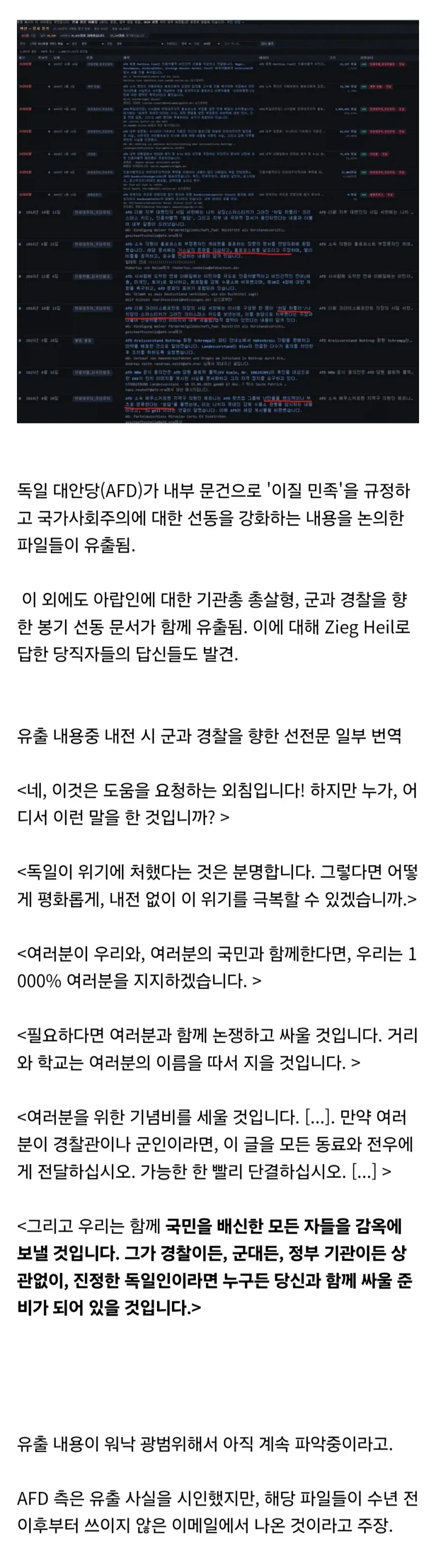 독일 대안당(AFD), 군사봉기 내부문건 유출