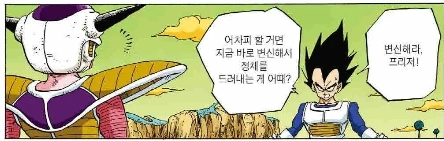 드래곤볼에서 가장 멍청한게 베지터인 이유