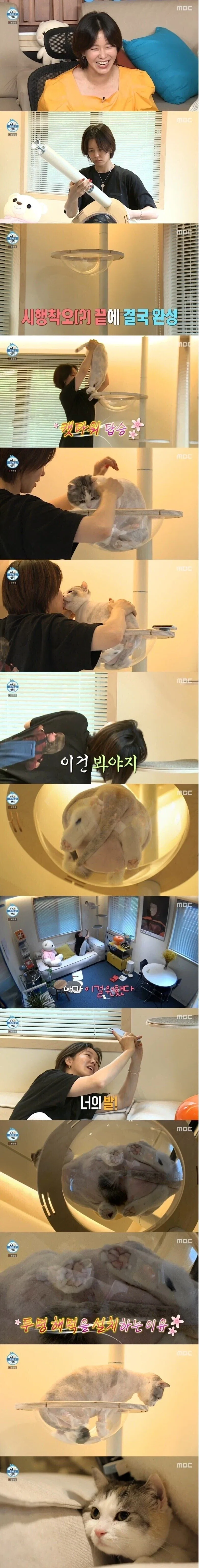 투명 캣타워의 장점.jpg