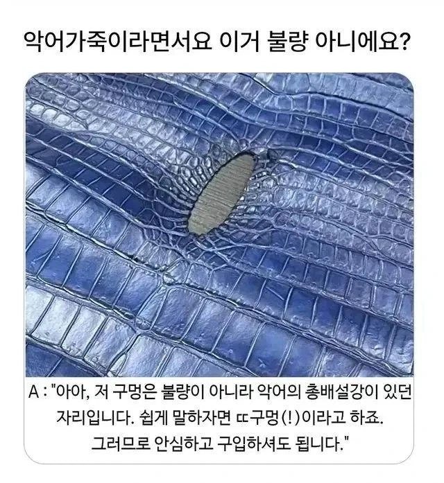 악어보짓살 가방