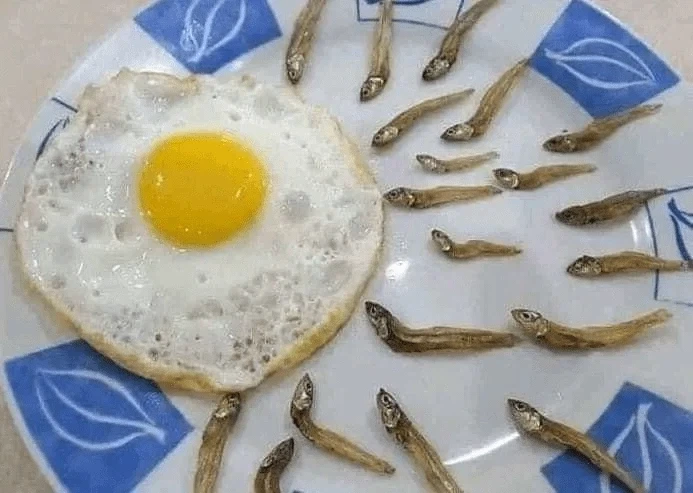 안됫 임신해버려어