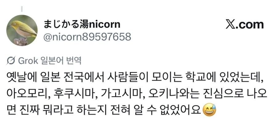 일본 여행갔다가 원어민 사투리를 하나도 못알아들음.jpg - 이미지 4