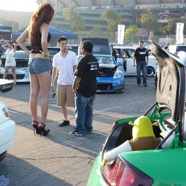 저주받은 사진 - 이미지 15