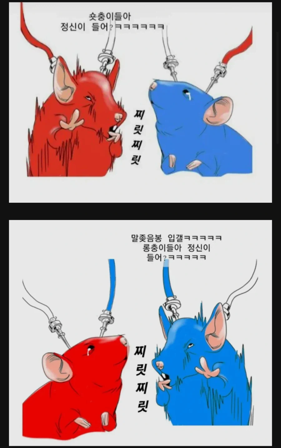 올 한해 주식시장 요약