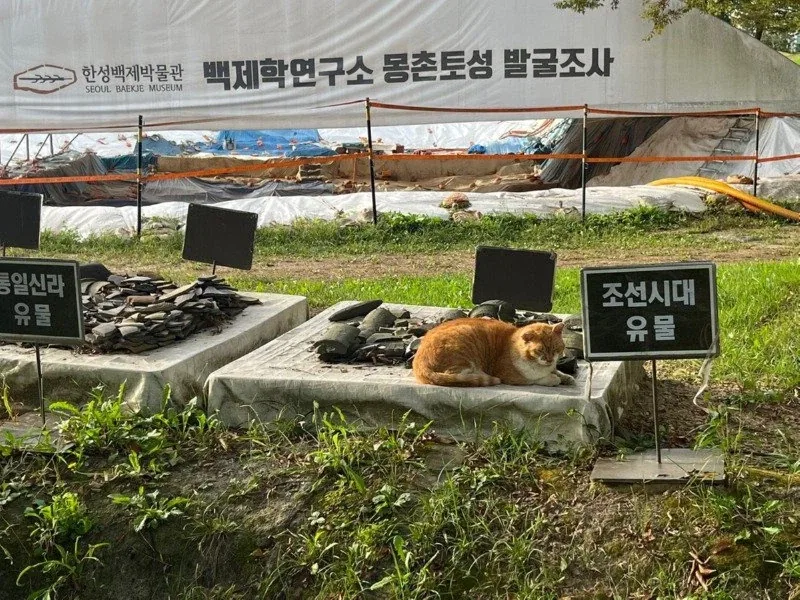 조선시대 유물 jpg.