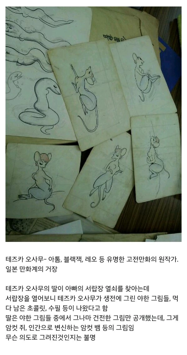 수상할 정도로 만화를 잘 그리는 퍼리.jpg - 이미지 2
