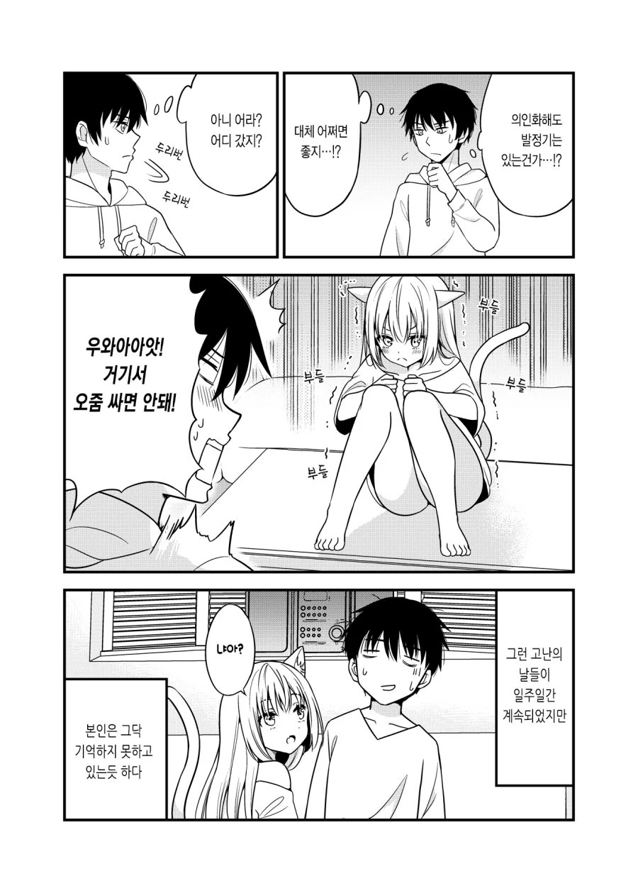 고양이 소녀 기르는 Manhwa (약 스압) - 이미지 15
