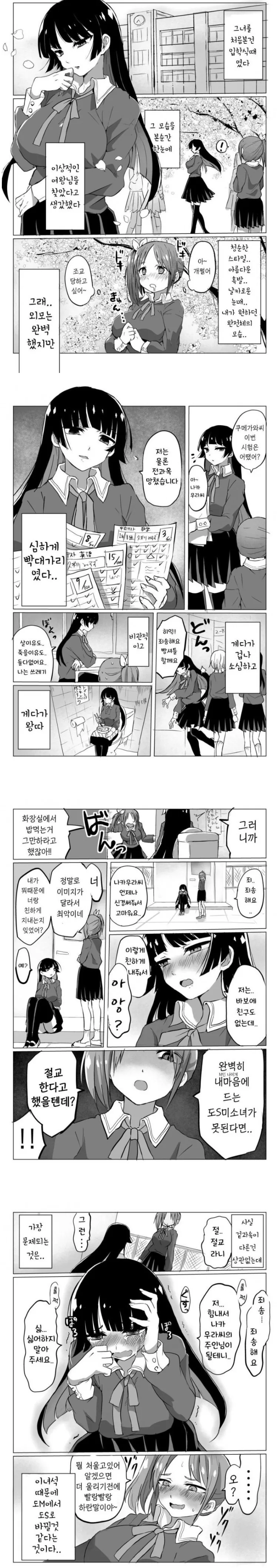 이것은 미소녀 M인가 S인가.manga