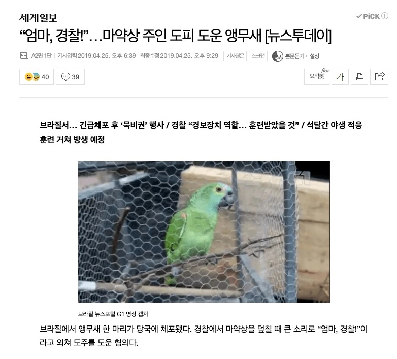 앵무새 때문에 수치플 당한 여자.manwha - 이미지 4