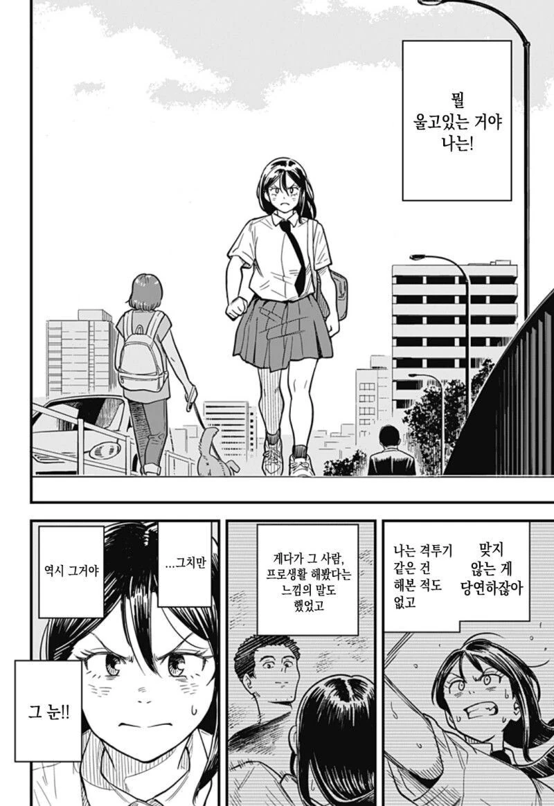 여고생이 복싱 배우는 만화 - 이미지 17