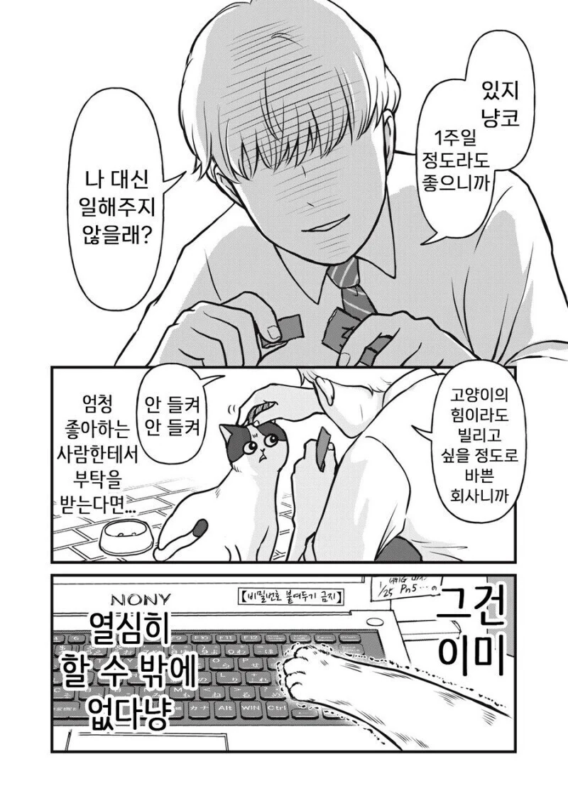 주인 대신 일하는 고양이 만화.manhwa - 이미지 2