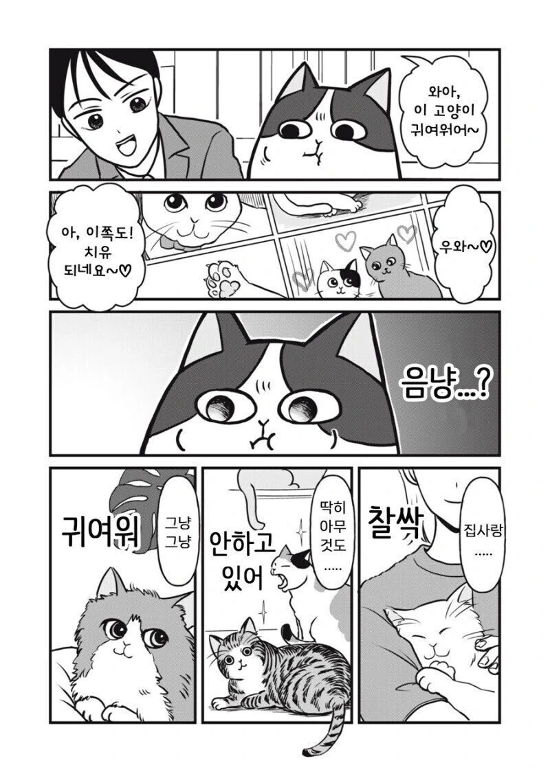 주인 대신 일하는 고양이 만화.manhwa - 이미지 19