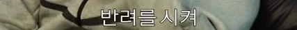 와 나 지금 군인 쇼츠보다가 개충격인거봄 - 이미지 4