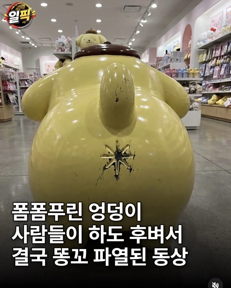 폼폼푸린의 수난
