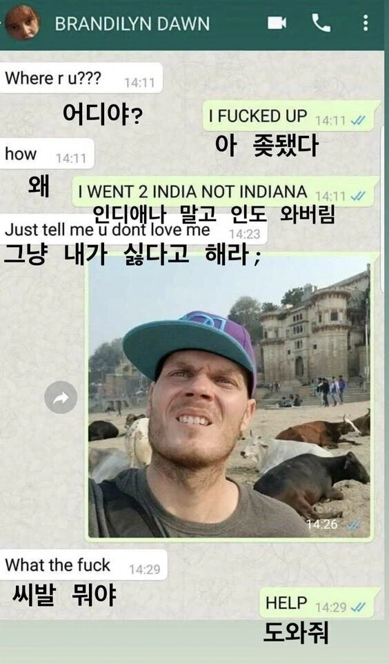 야 친구야, ㅅㅂ ㅈ됐다 … 도와줘….jpg