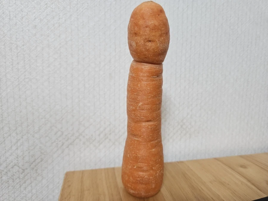 냉장고에 있던 당근이 특이하게 생겼어