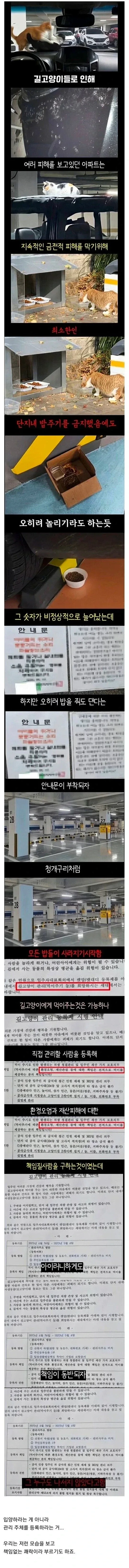한 아파트 단지의 캣맘들이 사라진 이유
